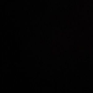 Meet your Posher, Oscar